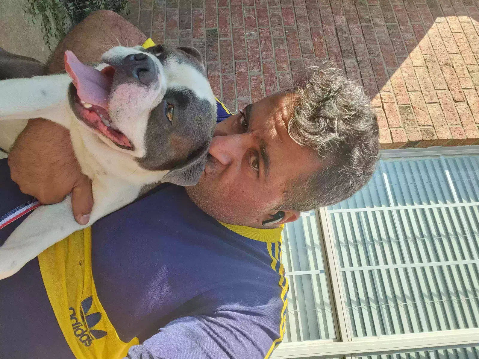 Lost dog in Carrollton, TX, 75007