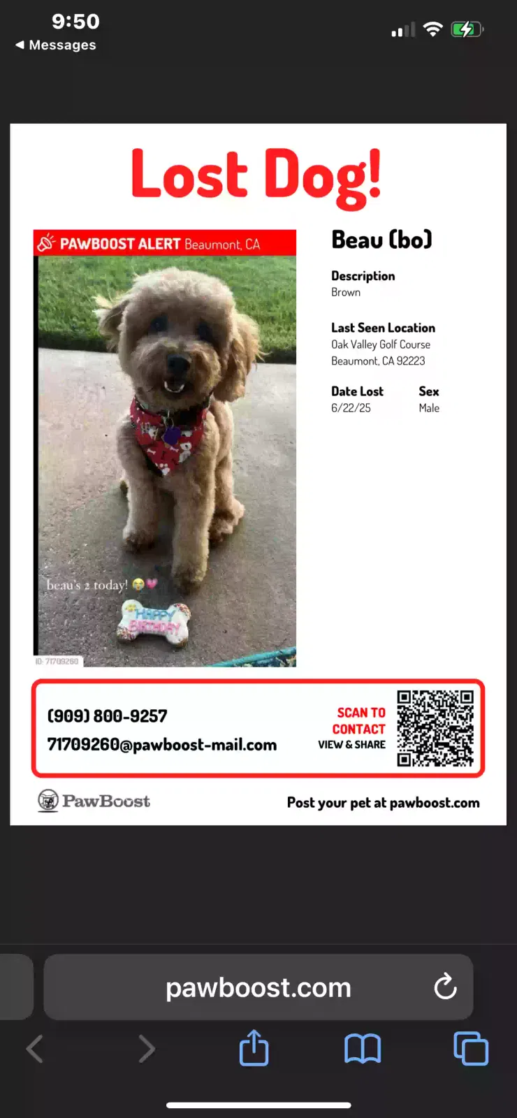Lost dog in Beaumont, CA, 92223