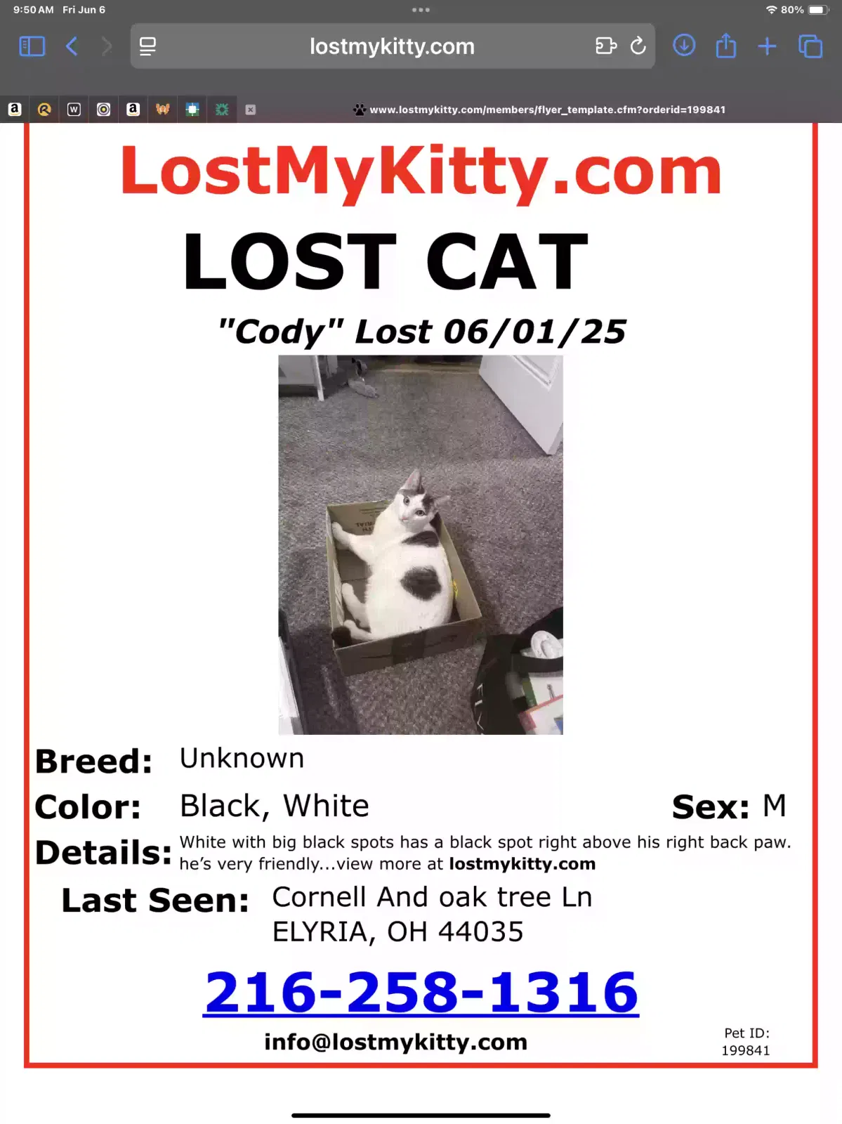 Lost cat in Elyria, OH, 44035