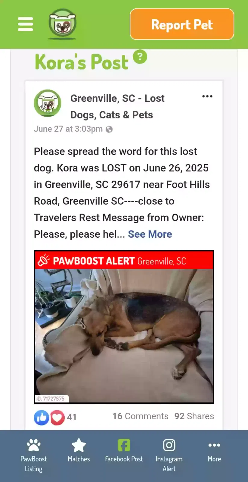 Lost dog in Greenville, SC, 29617