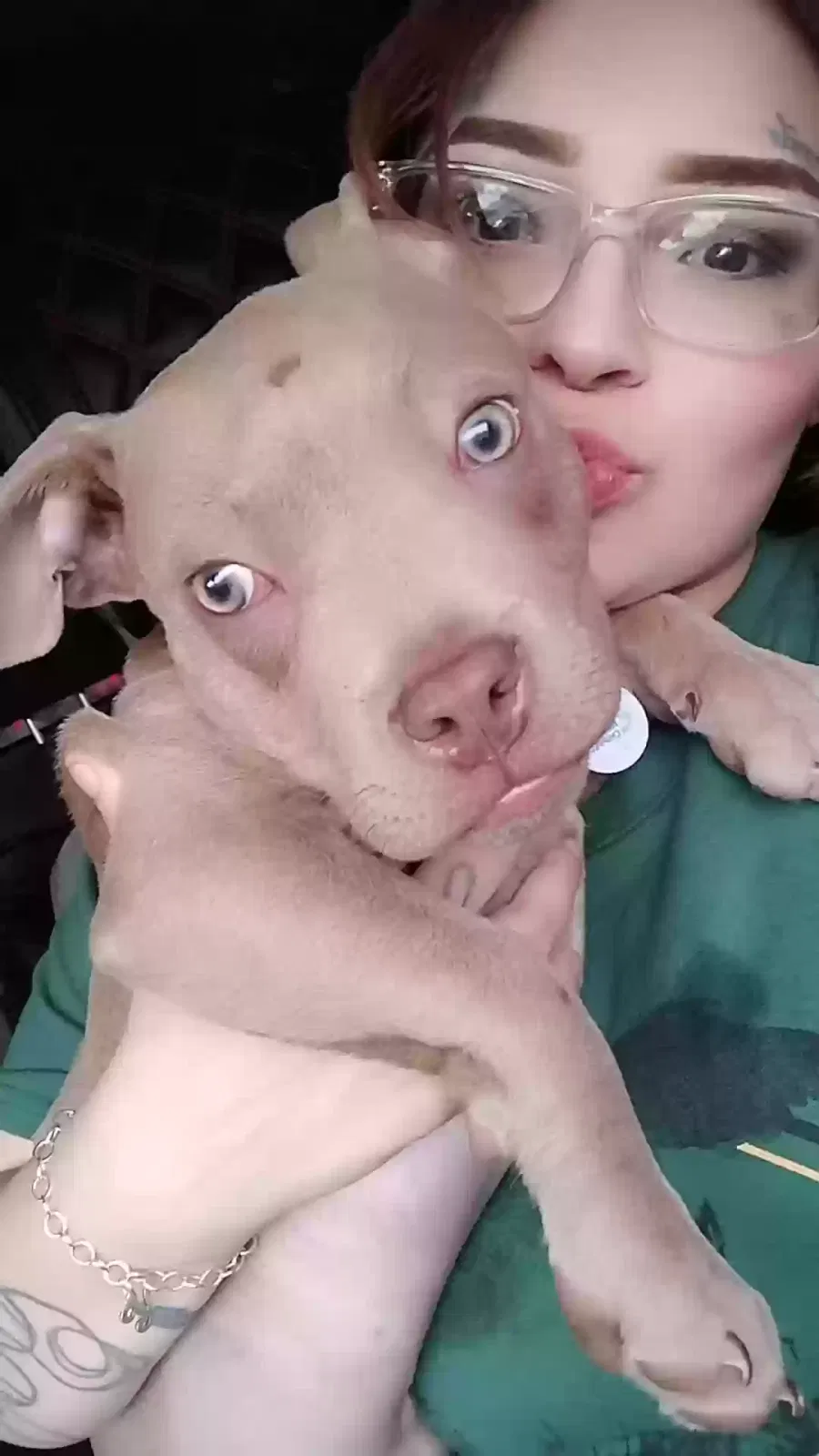 Lost dog in San Antonio, TX, 78221