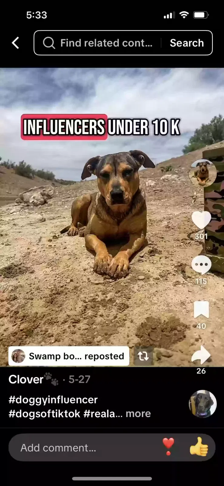 Lost dog in Alamogordo, NM, 88310