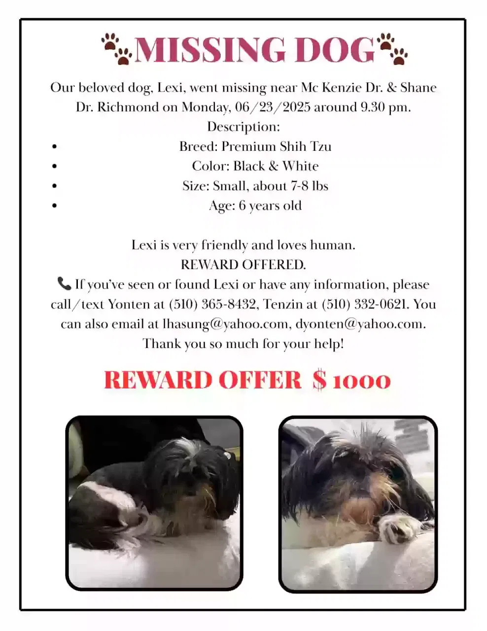 Lost dog in San Pablo, CA, 94806
