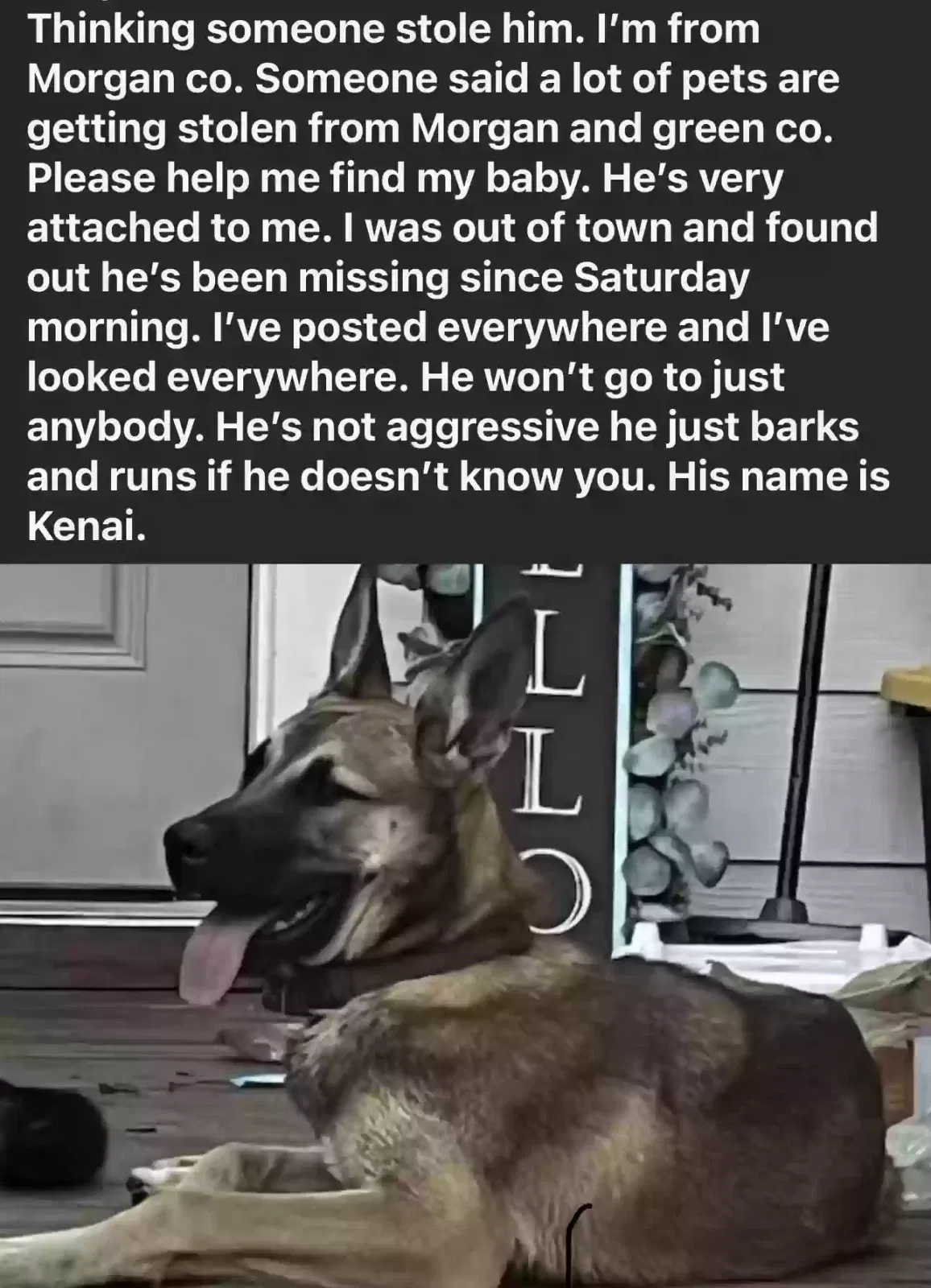 Lost dog in Good Hope, GA, 30641