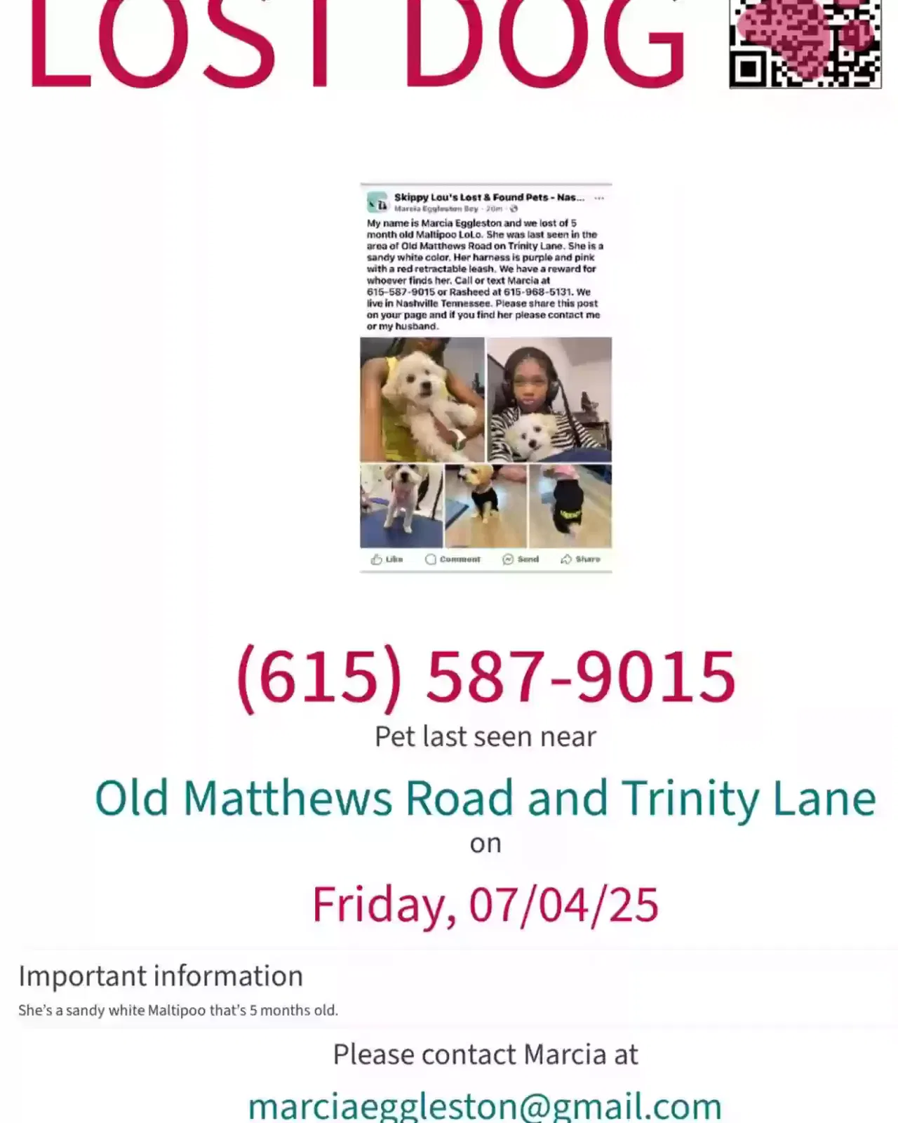 Lost dog in Nashville, TN, 37207
