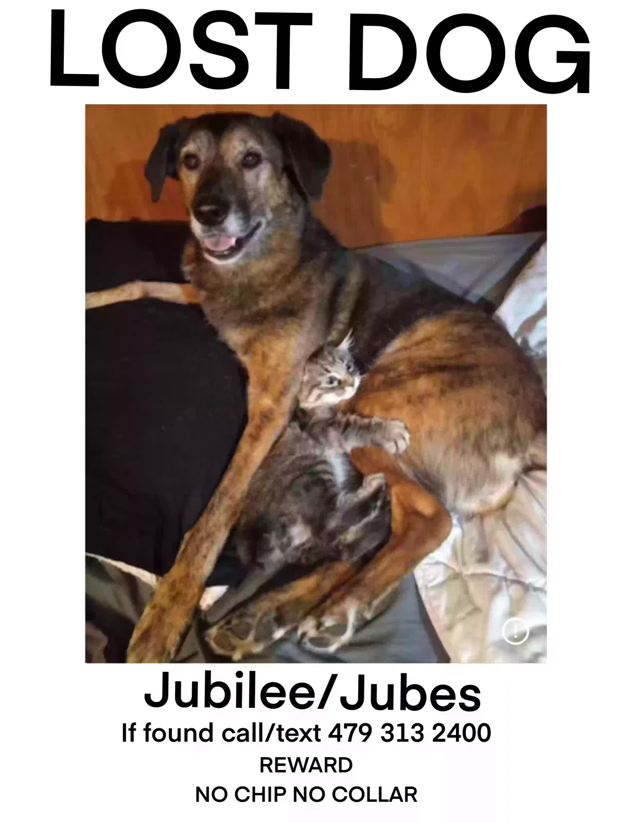 Lost dog in Tulsa, OK, 74119
