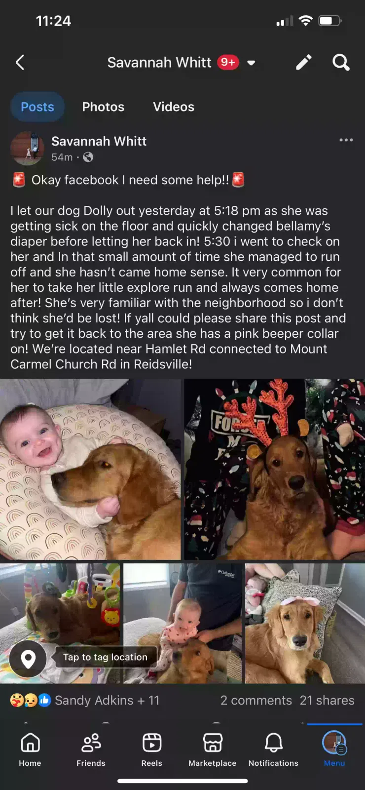 Lost dog in Reidsville, NC, 27320