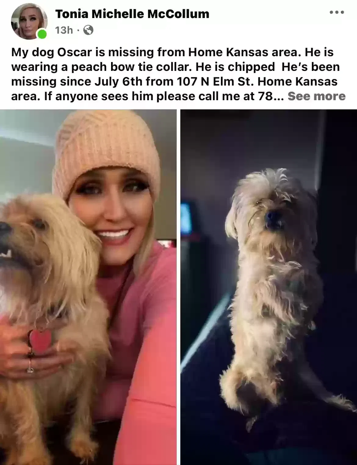 Lost dog in Manhattan, KS, 66502
