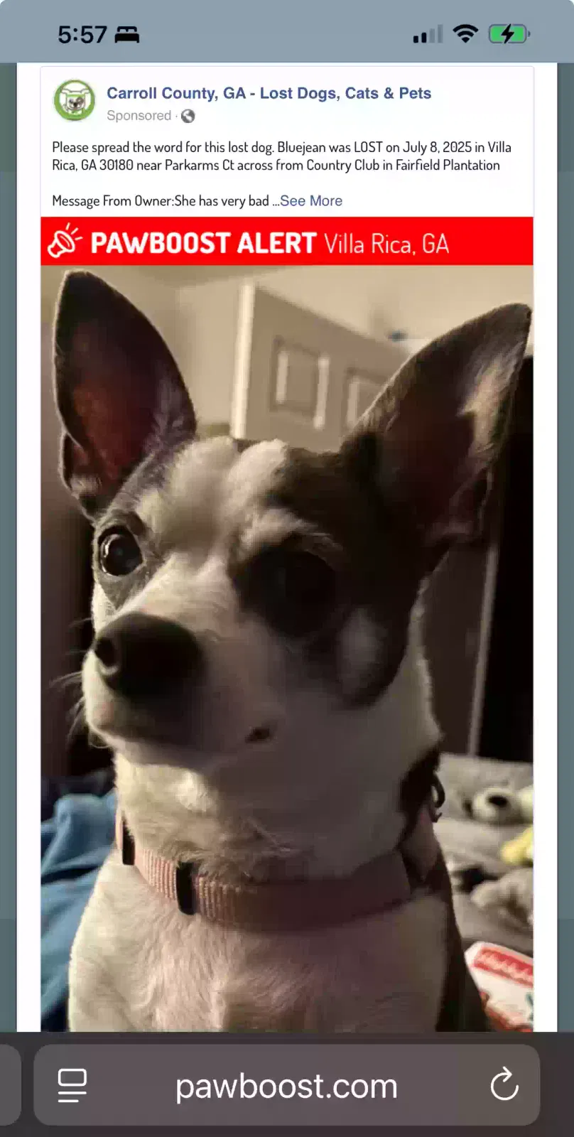 Lost dog in Villa Rica, GA, 30180