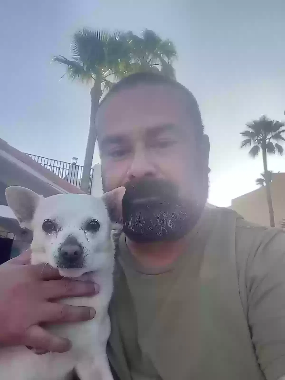 Lost dog in Chandler, AZ, 85225