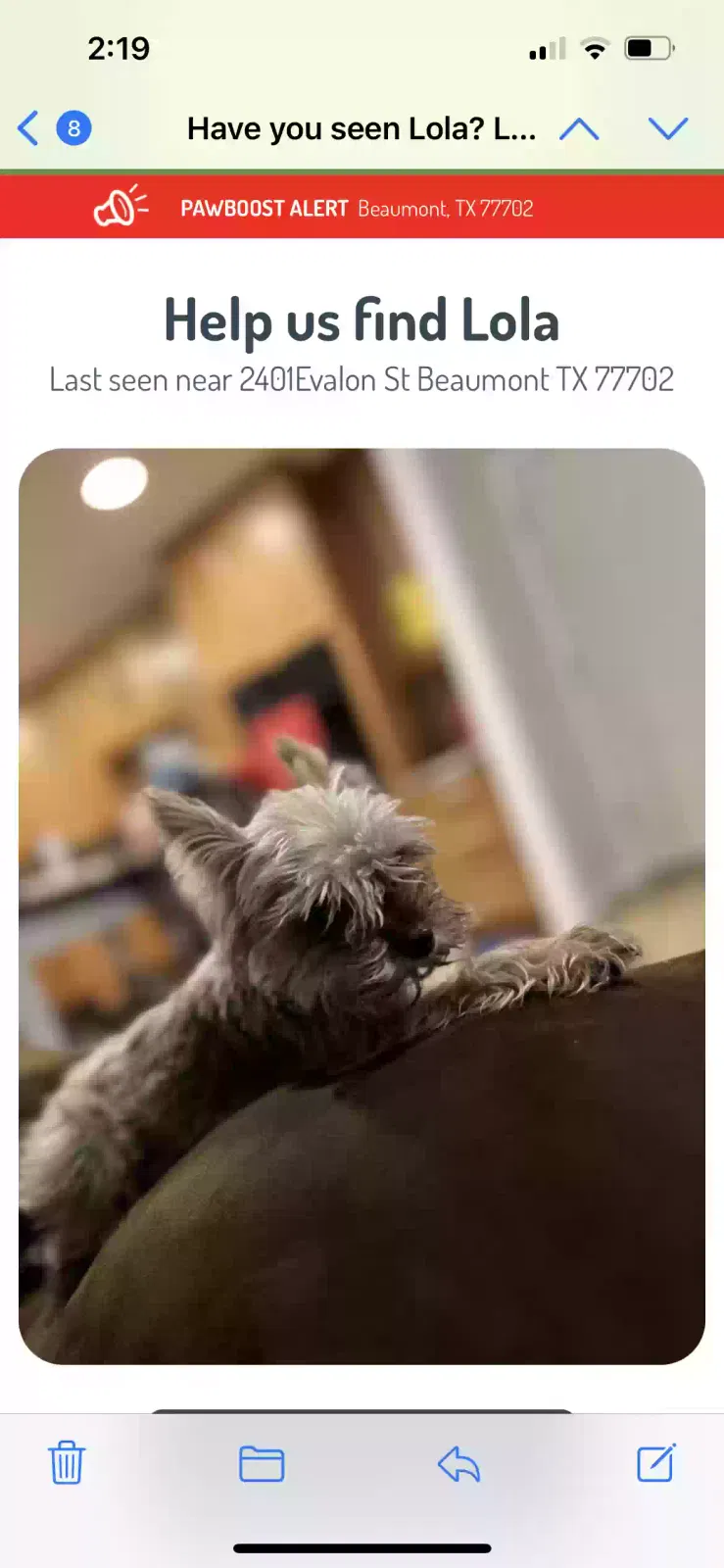 Lost dog in Beaumont, TX, 77702