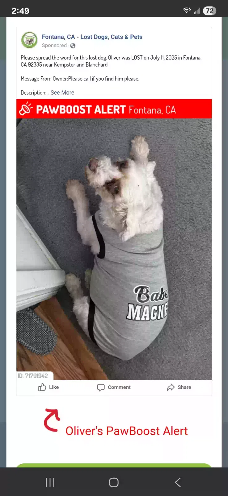 Lost dog in Fontana, CA, 92336