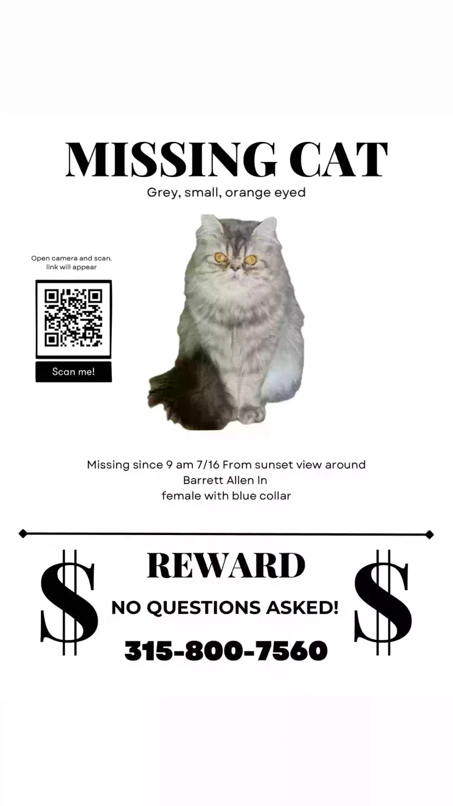 Lost cat in El Paso, TX, 79932