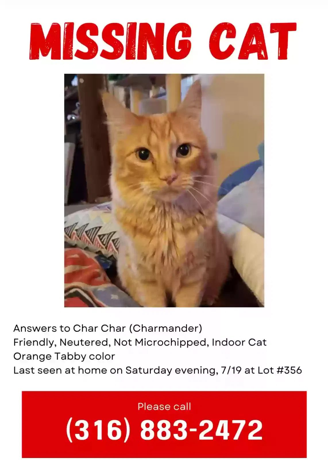 Lost cat in Wichita, KS, 67217