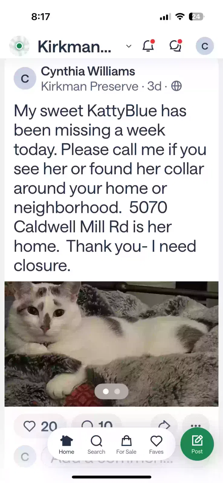 Lost cat in Birmingham, AL, 35242