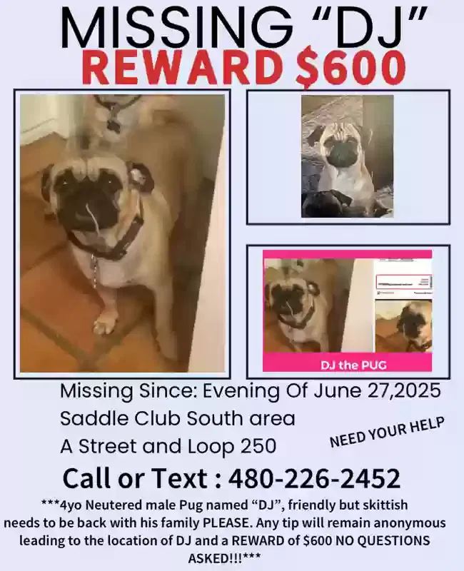 Lost dog in Midland, TX, 79705