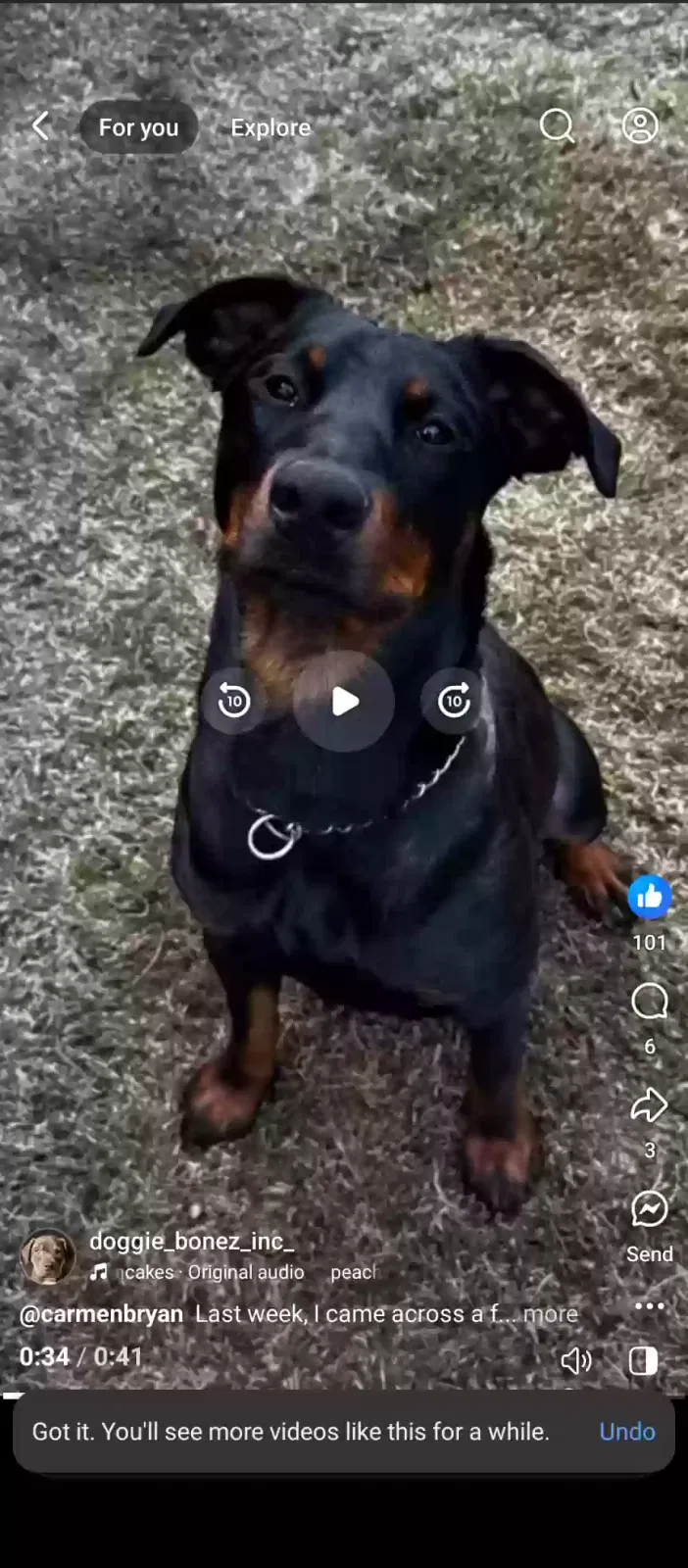 Lost dog in Los Angeles, CA, 90011