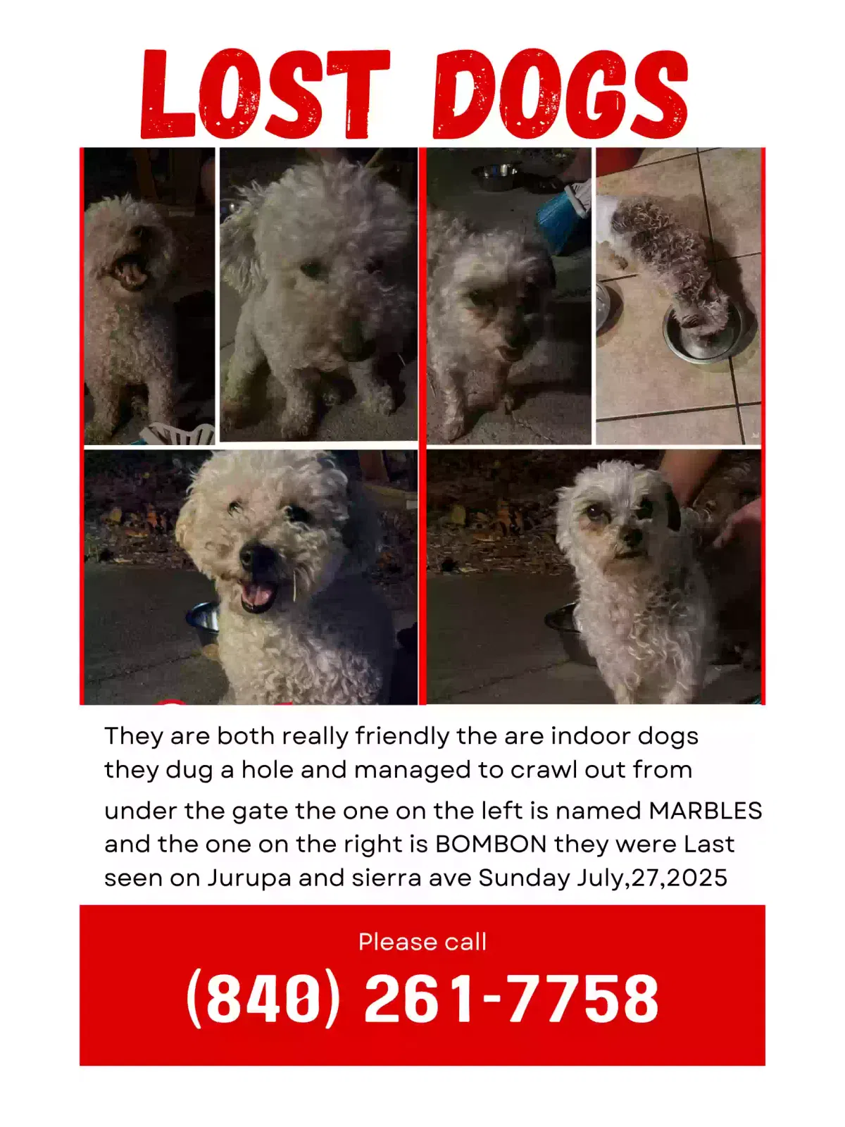 Lost dog in Fontana, CA, 92337
