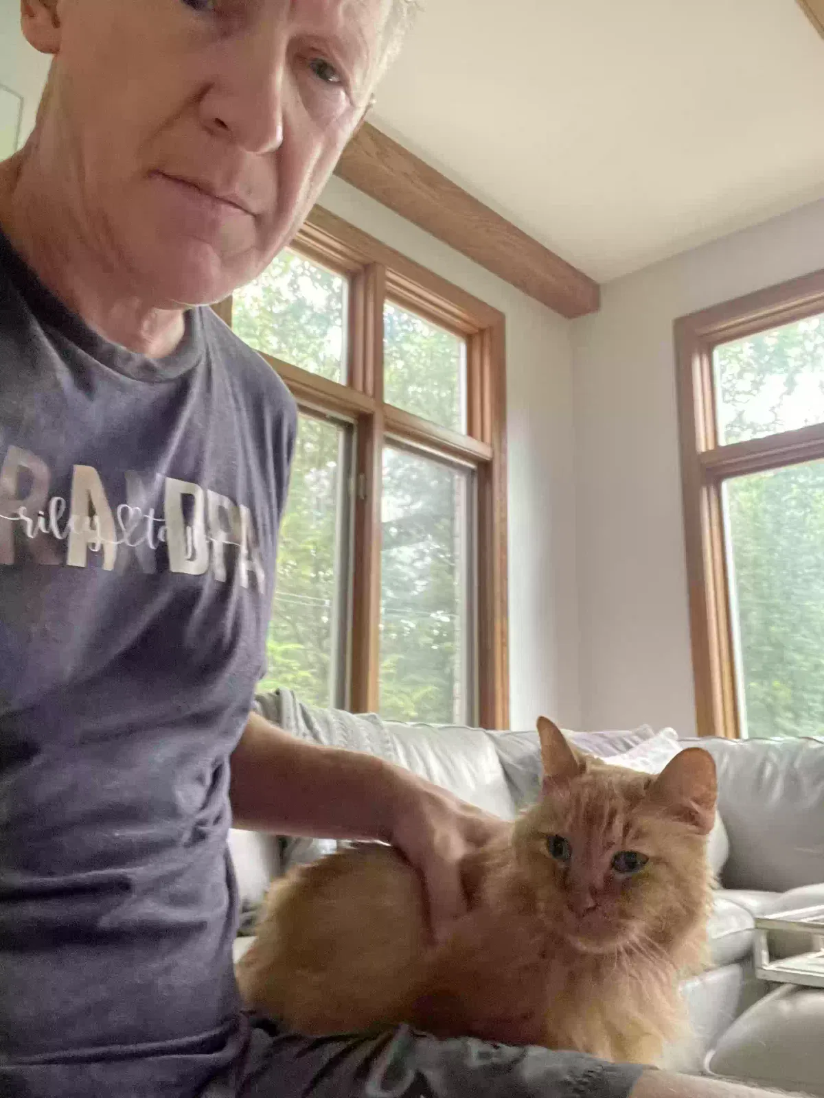 Lost cat in Lisle, IL, 60532