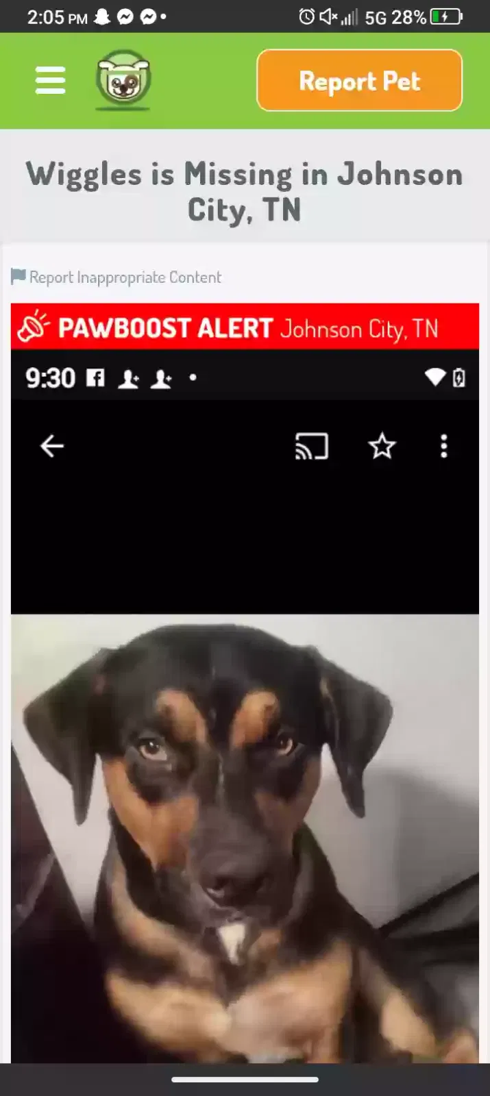 Lost dog in Jonesborough, TN, 37659