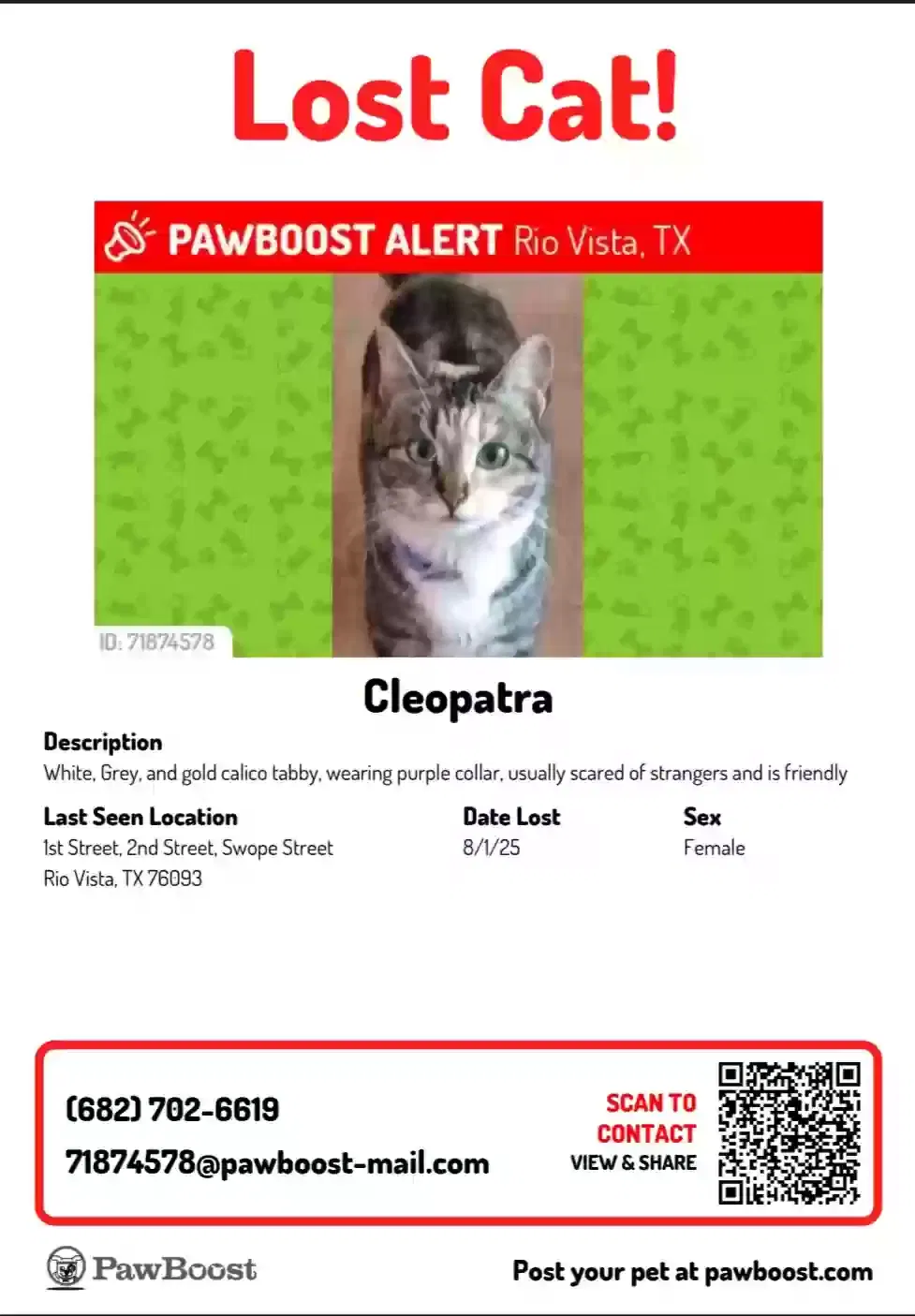 Lost cat in Rio Vista, TX, 76093
