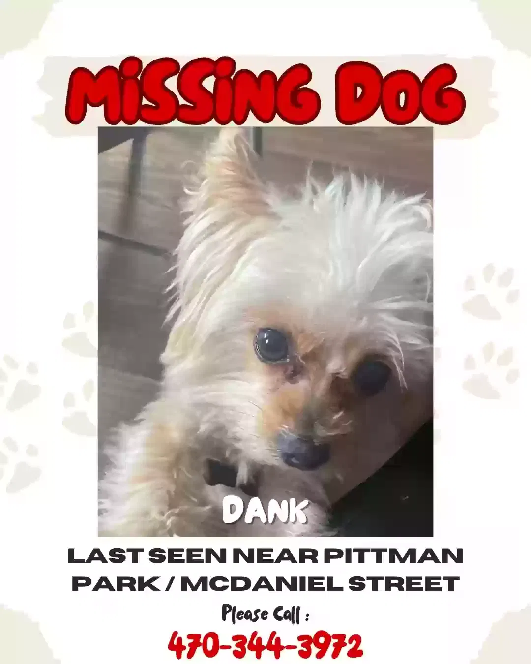 Lost dog in Atlanta, GA, 30318