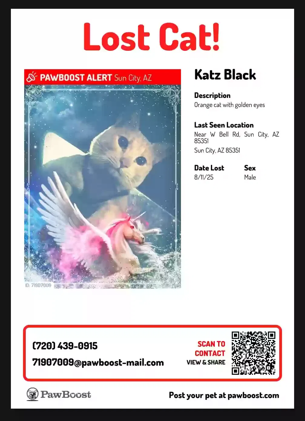 Lost cat in Sun City, AZ, 85351