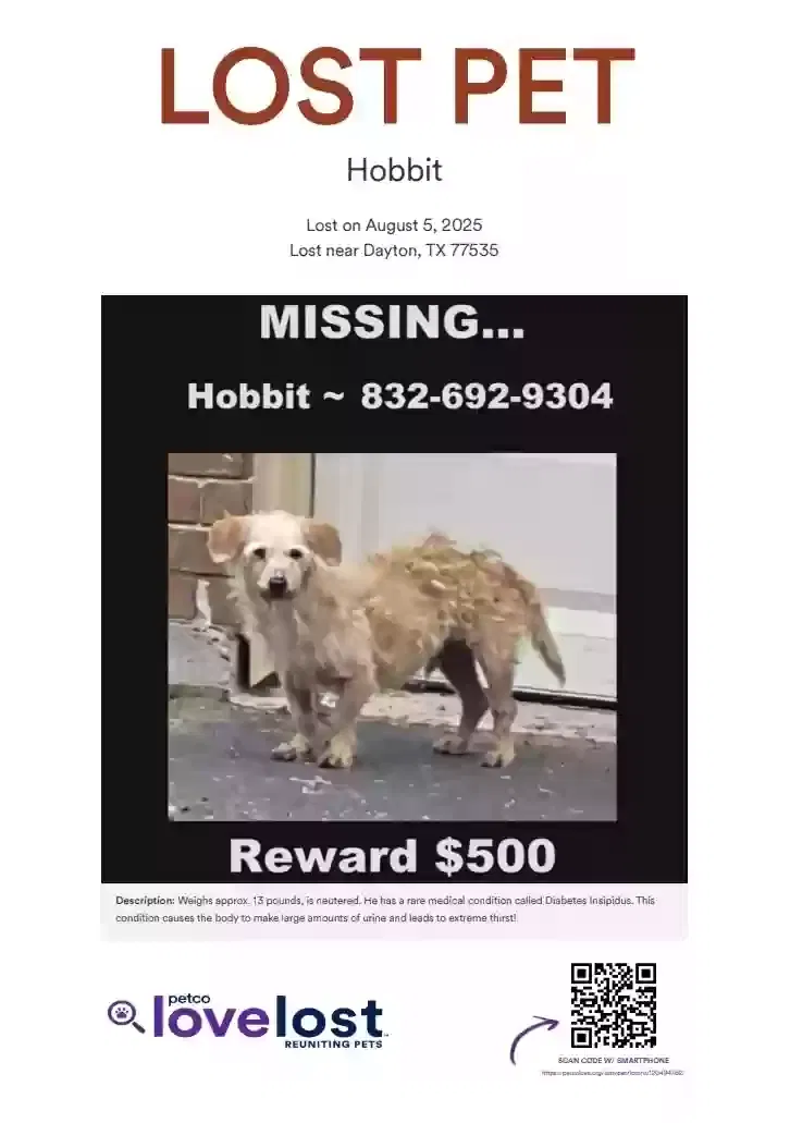 Lost dog in Dayton, TX, 77535