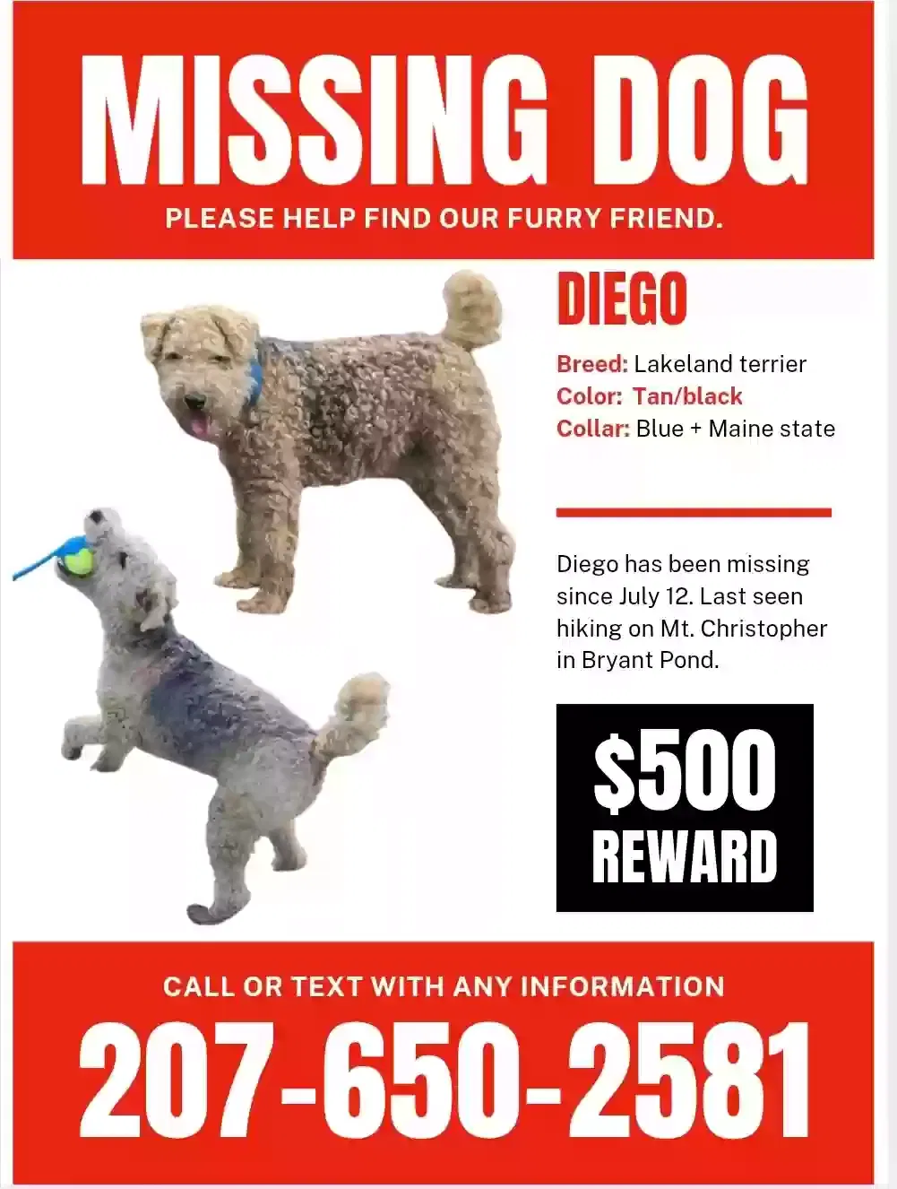 Lost dog in Bryant Pond, ME, 4219
