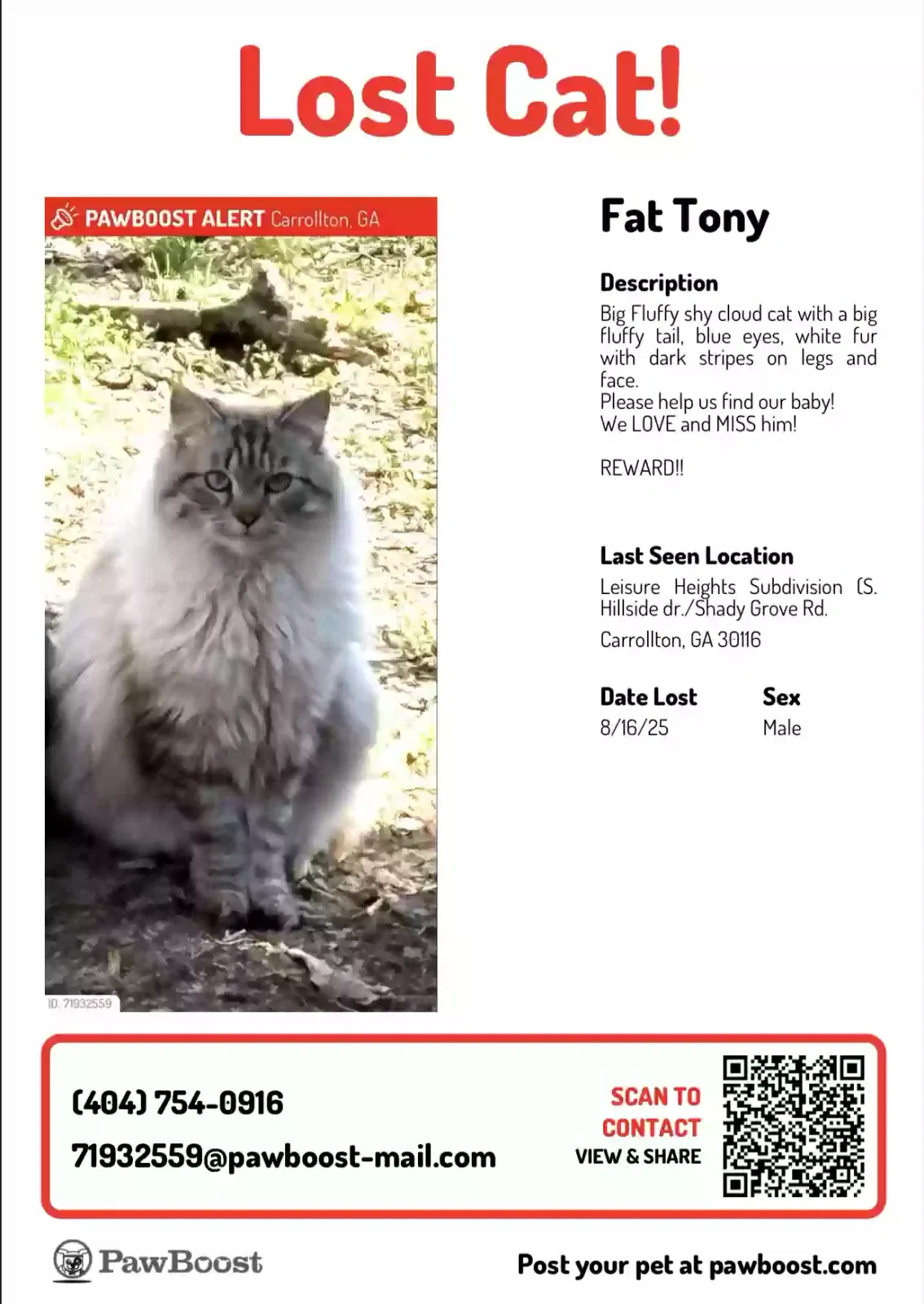 Lost cat in Carrollton, GA, 30116