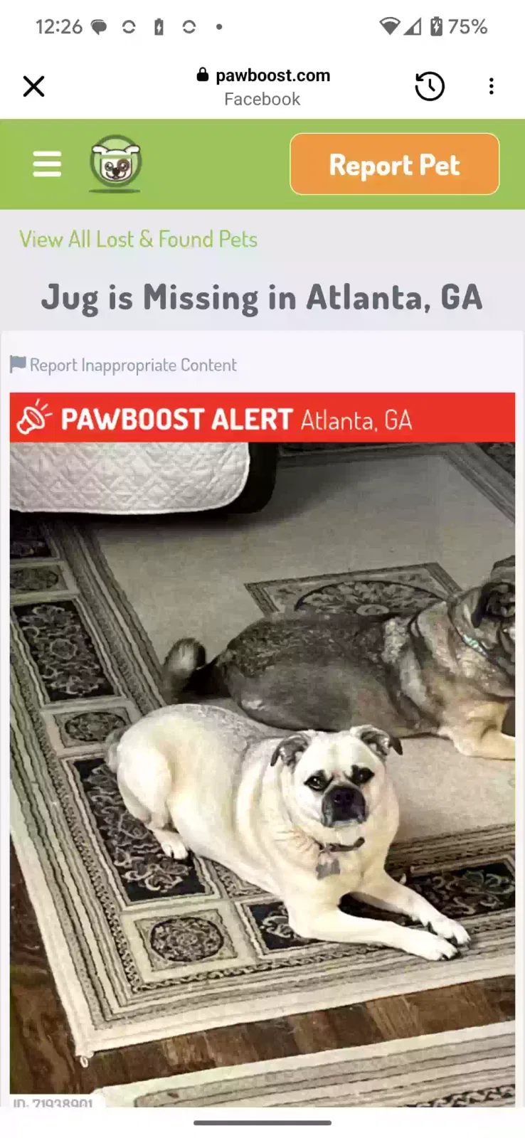 Lost dog in Atlanta, GA, 30316