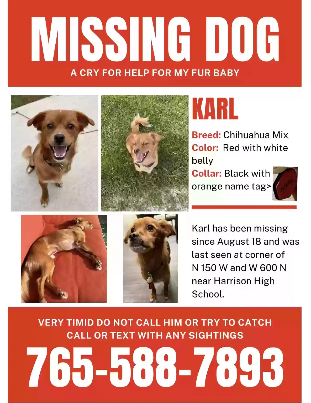 Lost dog in West Lafayette, IN, 47906