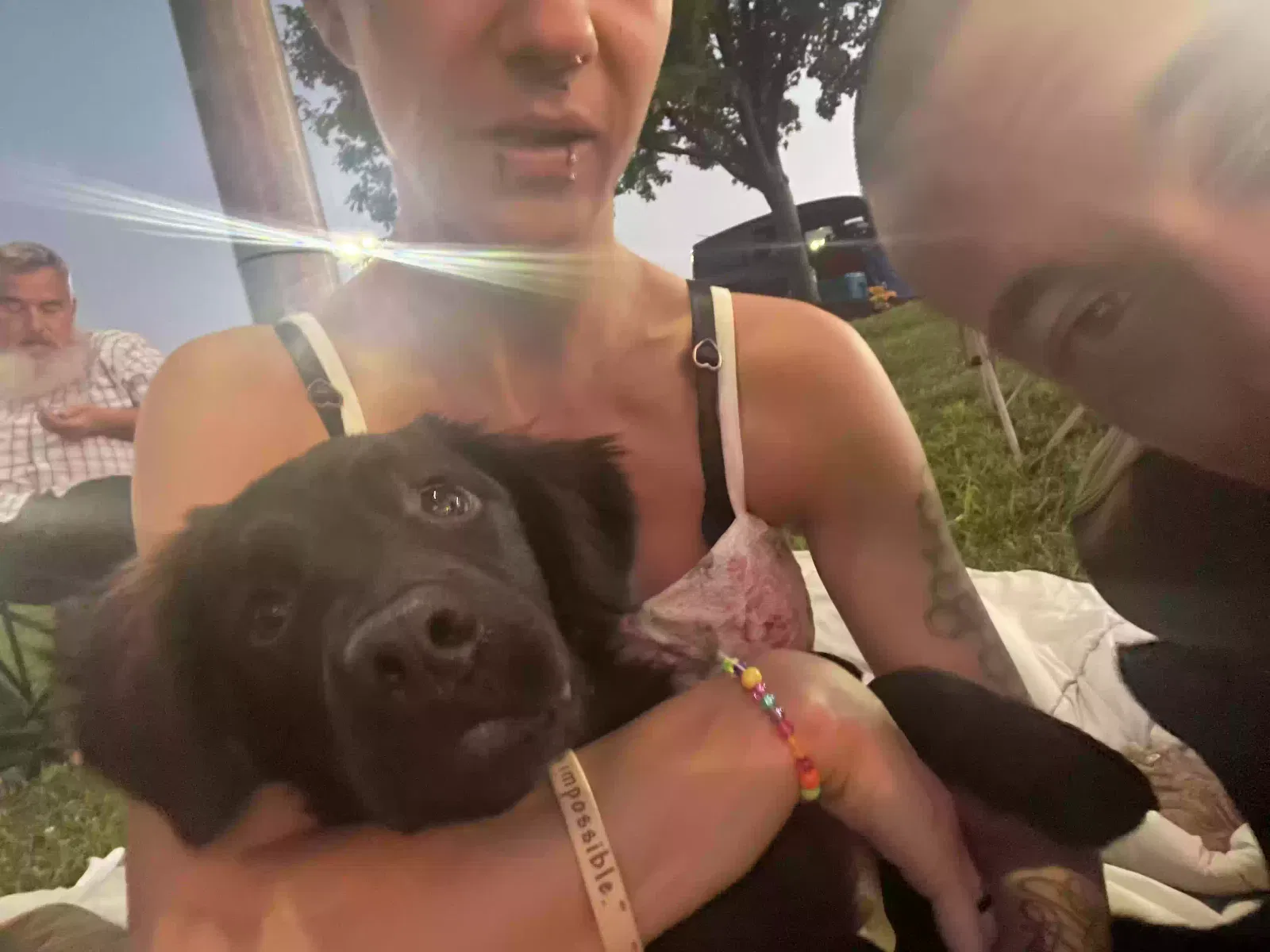 Lost dog in Cleveland, TN, 37312