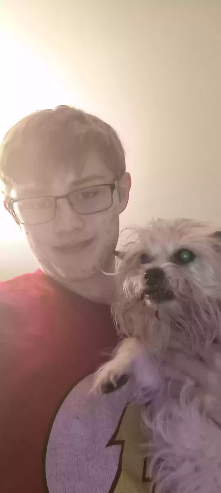 Lost dog in Barnhart, MO, 63012