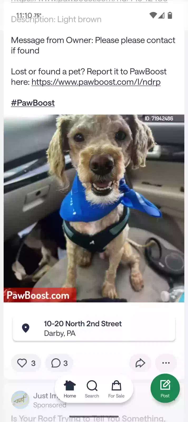 Lost dog in Darby, PA, 19023