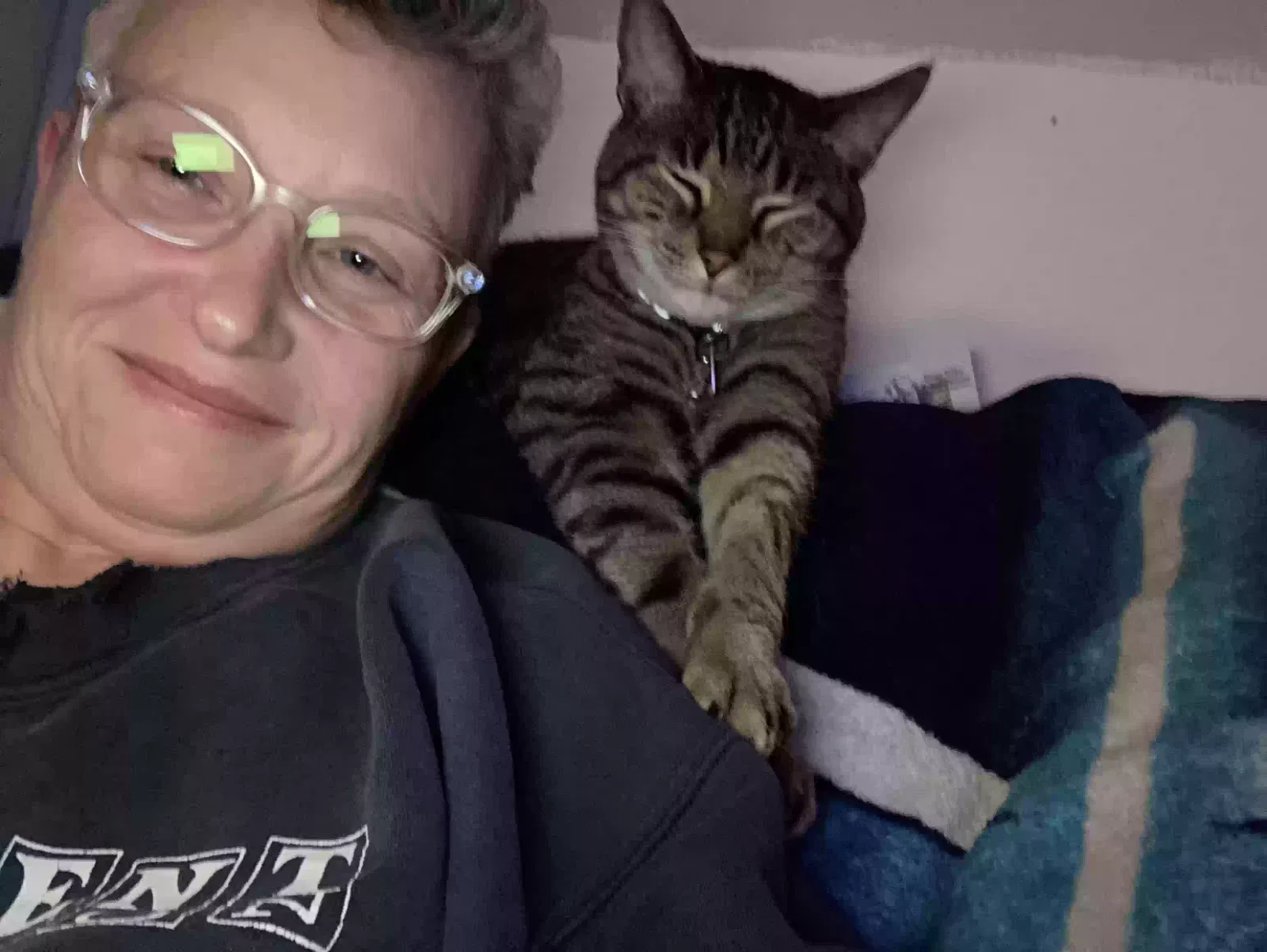 Lost cat in Milton Village, MA, 2187