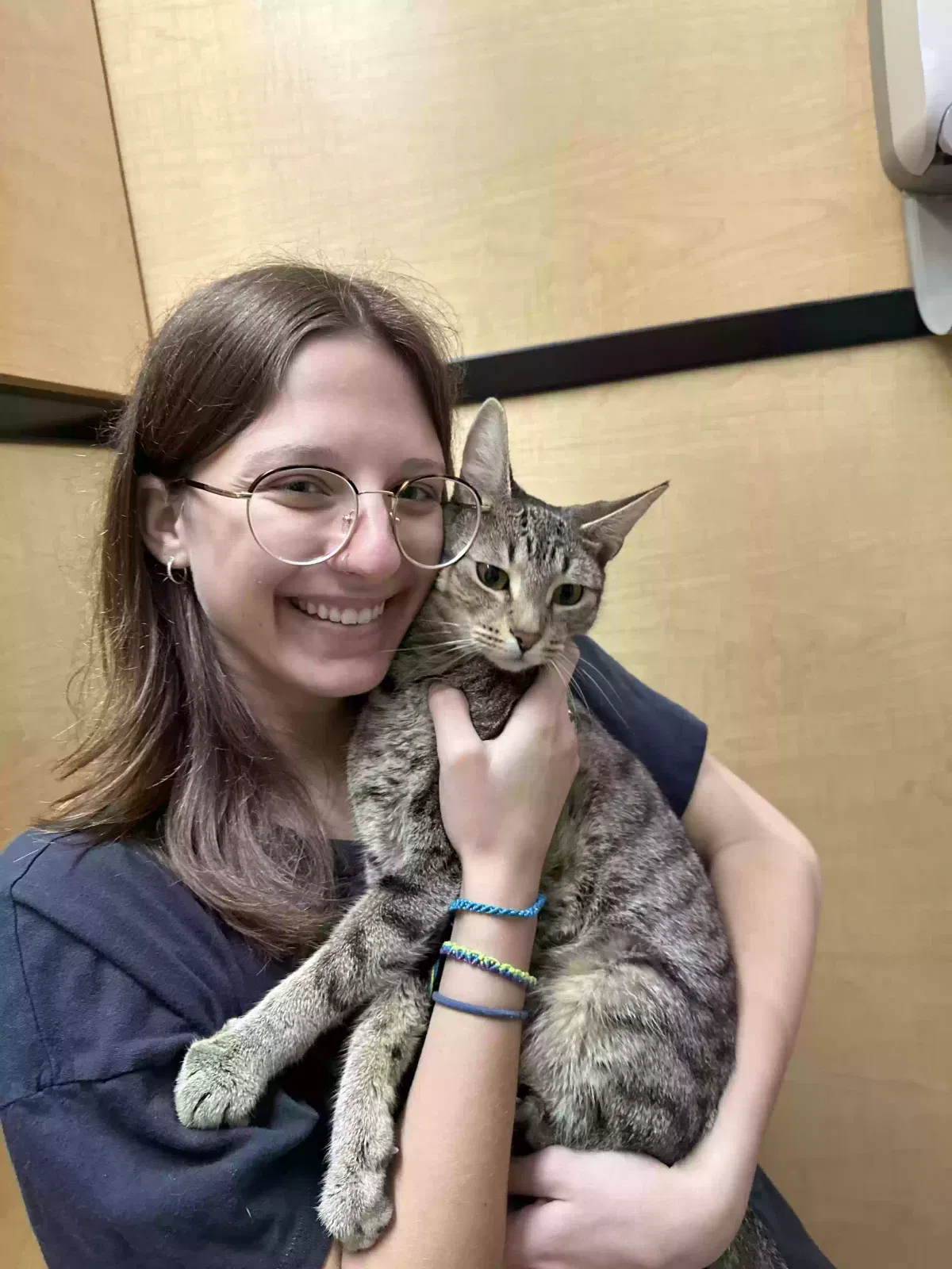 Lost cat in Waukesha, WI, 53188