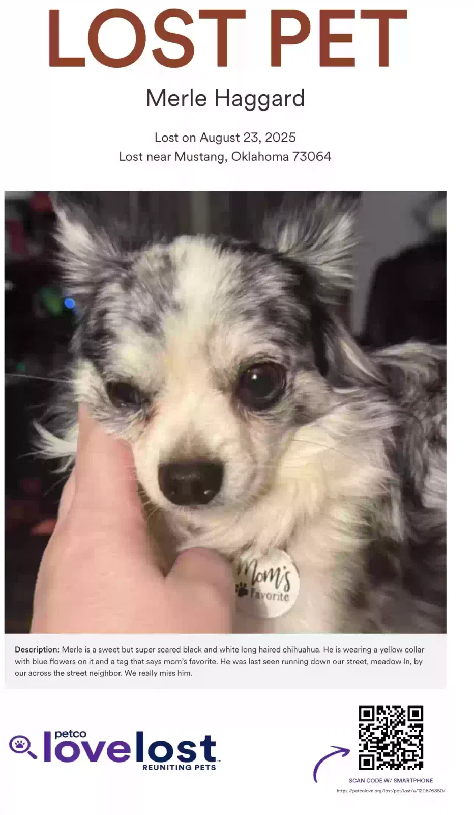 Lost dog in Mustang, OK, 73064
