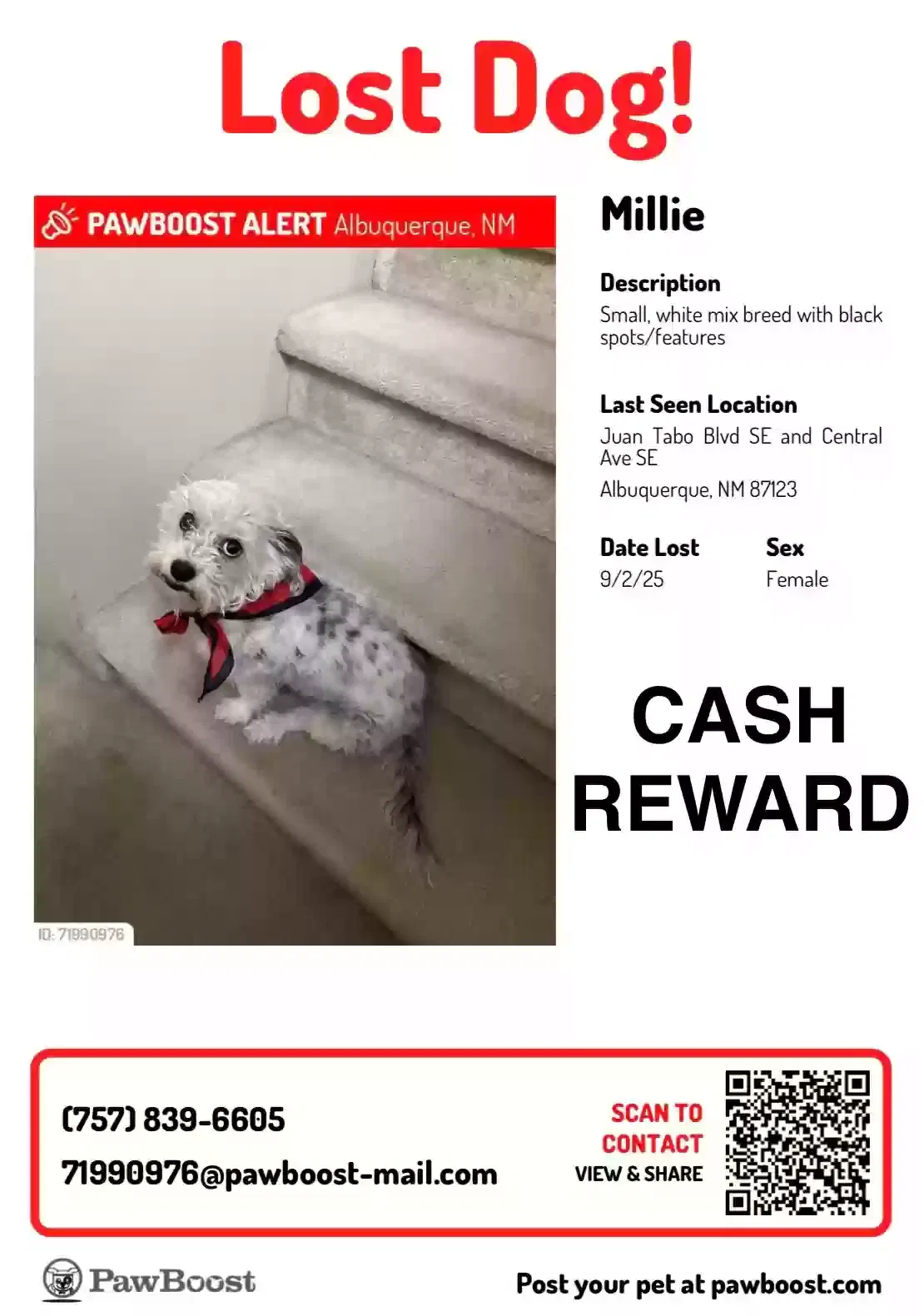 Lost dog in Albuquerque, NM, 87123