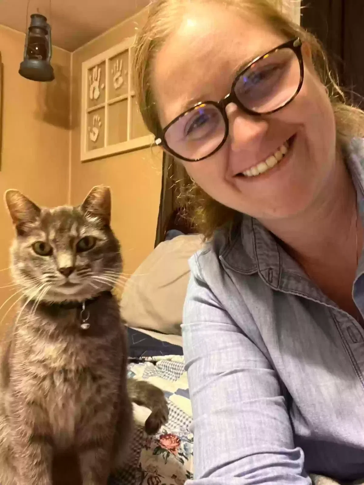 Lost cat in Dorset, OH, 44032