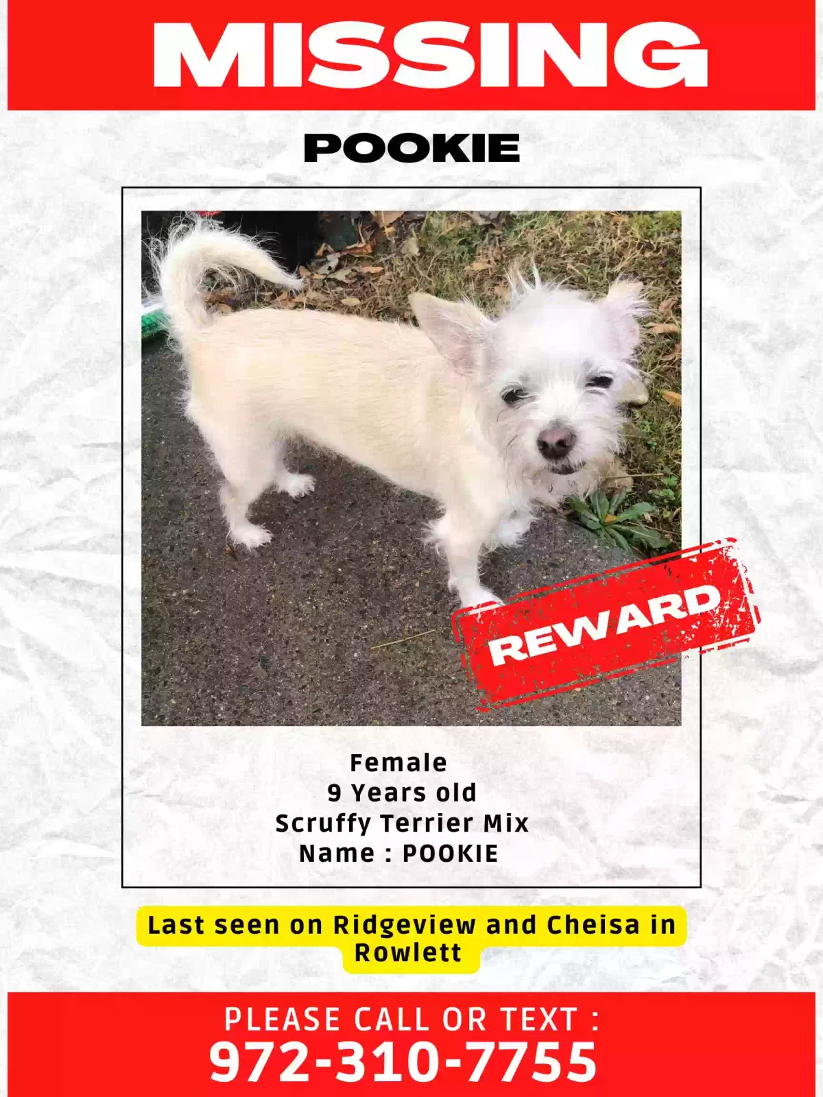 Lost dog in Rowlett, TX, 75089