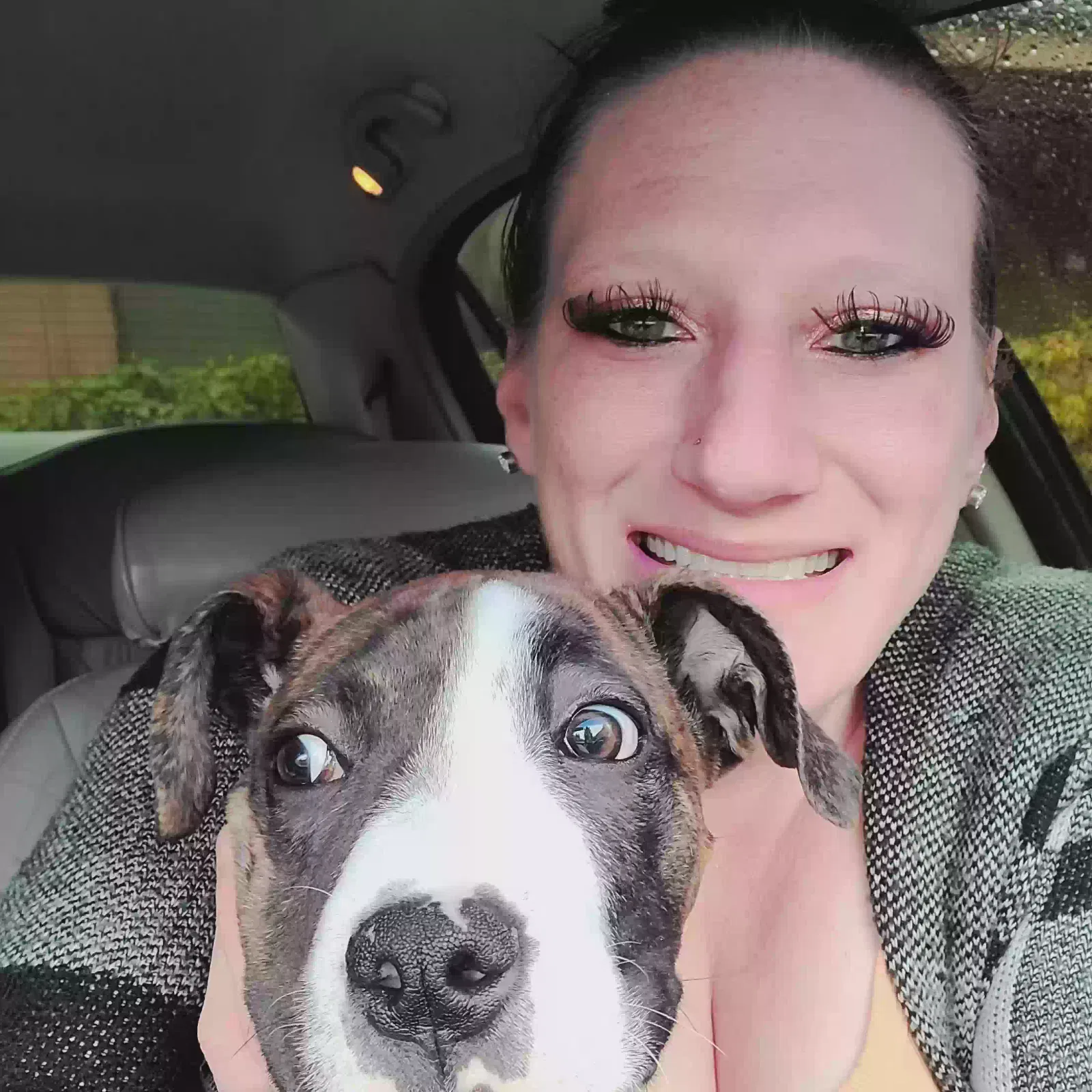 Lost dog in Redmond, WA, 98052