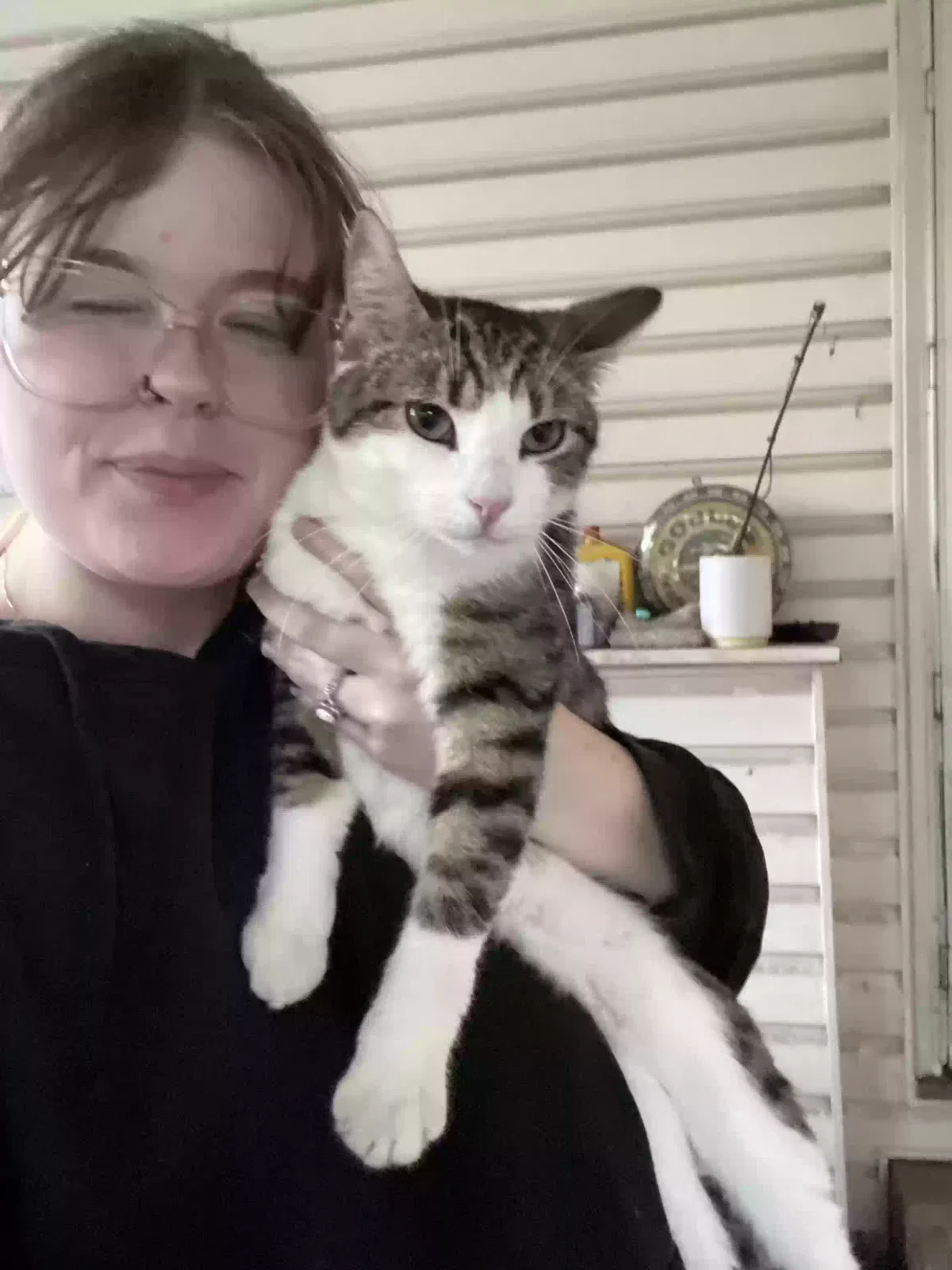 Lost cat in Roebuck, SC, 29376