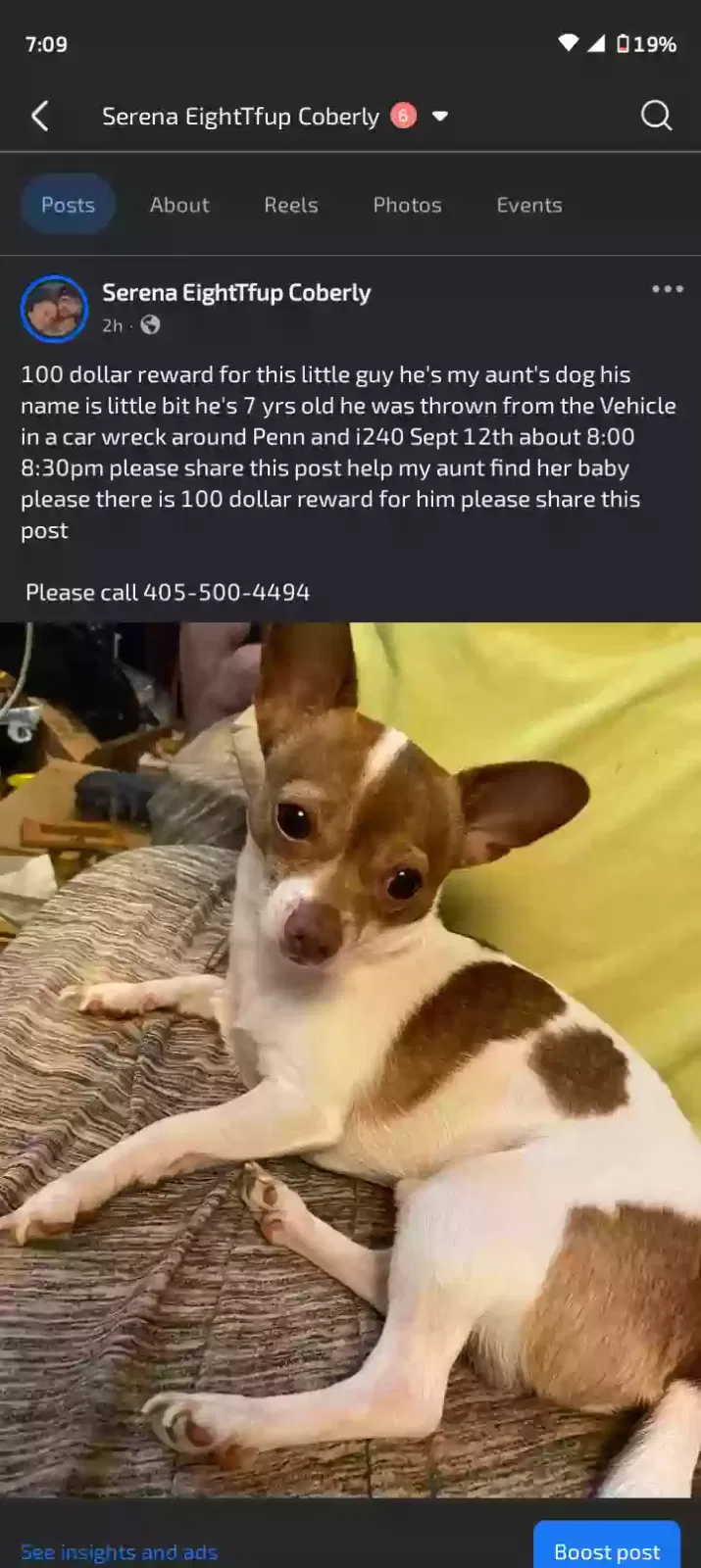 Lost dog in Oklahoma City, OK, 73109