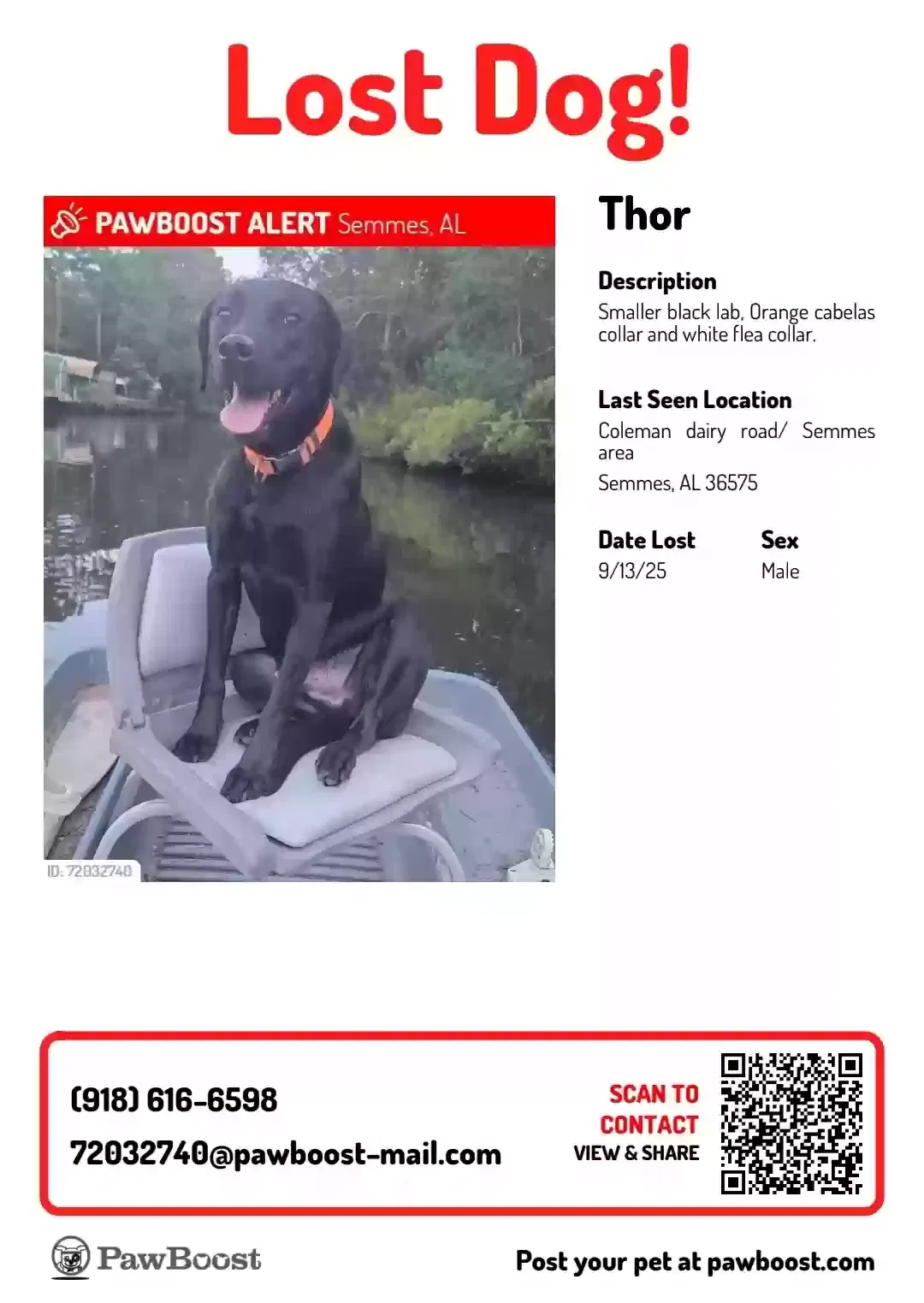 Lost dog in Semmes, AL, 36575