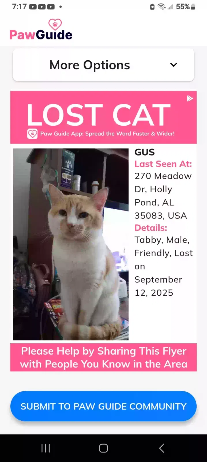 Lost cat in Holly Pond, AL, 35083