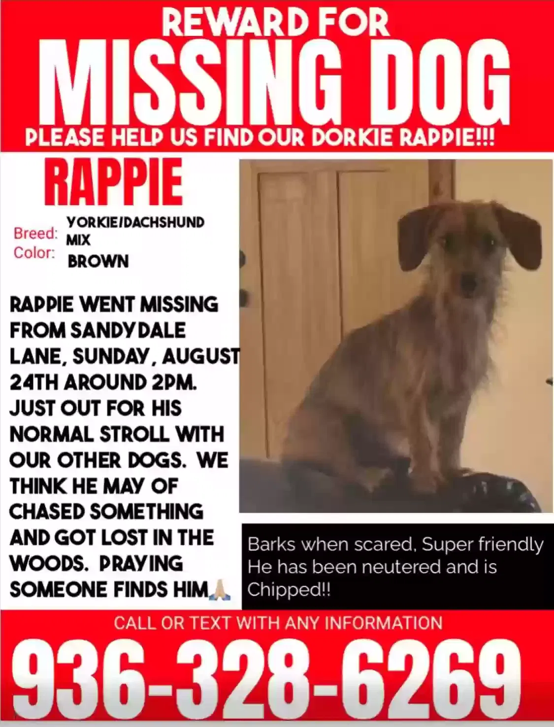 Lost dog in Livingston, TX, 77351