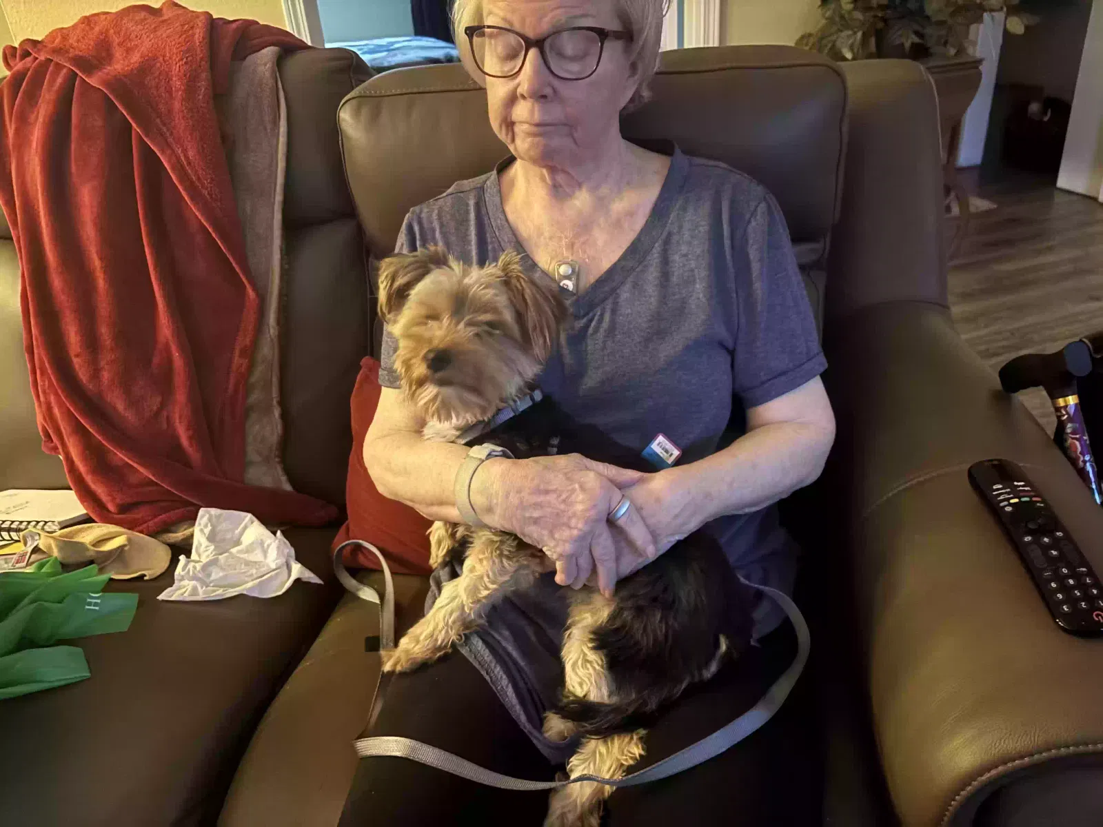Lost dog in Albuquerque, NM, 87120