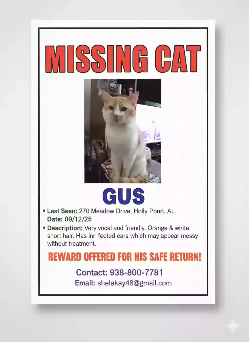 Lost cat in Holly Pond, AL, 35083