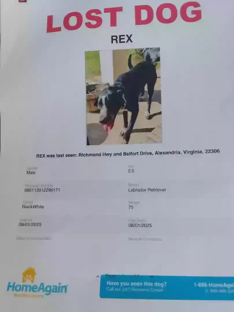 Lost dog in Fort Washington, MD, 20744